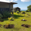 Отель Maunga Roa Eco Lodge, фото 18