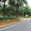 Отель Tonpalm Farmstay, фото 9