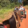 Отель Vale das Águas Hotel Fazenda, фото 18