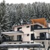 Отель Mountain View Apartment in Bad Kleinkirchheim near Ski Area, фото 1