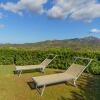 Отель Villa Multicolor Base Center and Nature, with reserved parking space on the beach-VILLETTA MULTICOLO, фото 11