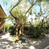 Отель Tropical Sands Dominical Eco Inn, фото 43