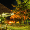 Отель Zanzi Rest Bungalows, фото 22
