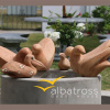 Отель Albatross Guesthouse, фото 7