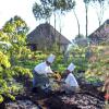 Отель Neptune Ngorongoro Luxury Lodge, фото 9