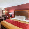 Отель Econo Lodge, фото 7