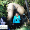 Отель Elephant Country Guest House, фото 13