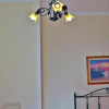 Отель B&B La Perla, фото 5