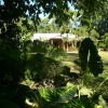 Отель Hibiscus Lodge Bed & Breakfast, фото 6