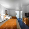 Отель Comfort Inn & Suites Sequoia/Kings Canyon в Три-Риверсе