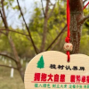 Отель Nanshoufeng Yangshenggu, фото 3
