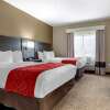 Отель Comfort Suites near Robins Air Force Base, фото 5