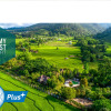 Отель Pai My Guest Resort (SHA Extra Plus), фото 14