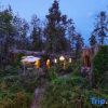 Отель Zhangjiajie Wulingyuan Forest Youyue Art Homestay, фото 7