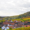 Отель Winzerhaus Südpfalz, фото 8