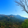 Отель Foggy Dreamz Munnar, фото 9