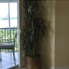 Отель Bay Beach Lane Condo #258858 2 Bedrooms 2 Bathrooms Condo, фото 10