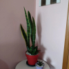Отель Rua Maria Tognini 296, фото 7