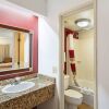 Отель Red Roof Inn Tampa Busch, фото 11