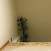 Отель Diker Port Residence, фото 3