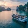 Отель Swan Boutique Cruises, фото 15