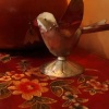Отель Ravens Ridge Bed & Breakfast, фото 12