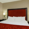 Отель Comfort Suites DFW North/Grapevine, фото 28