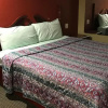 Отель Moonlight Inn & Suites, фото 13