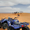 Отель Sahara Luxury Camps, фото 3