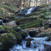 Отель Poconos Home on 100 Private Acres: Hike & Fish!, фото 22