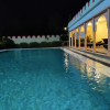 Отель Satyam Palace Resort, фото 12