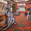 Отель Residence Inn by Marriott Norfolk Airport, фото 14