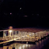 Отель The Shores Of Trl At Kimberling Inn, Kimberling City, USA, фото 19