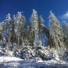 Отель Gasthof Waldschenke, фото 5