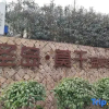Отель Shengdao Mogan Hot Spring Resort Meishu, фото 16