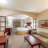 Отель Holiday Inn Express & Suites Mineral Wells, фото 7