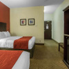 Отель Comfort Inn & Suites Airport South, фото 5