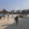 Отель The Blyde Crystal Lagoon Cologne3, фото 19