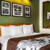 Отель Sleep Inn and Suites, фото 3