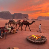 Отель Wadi Rum Bedouin Camp, фото 14