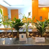 Отель El Diplomatico Hotel, фото 12