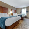 Отель Comfort Inn University, фото 2