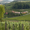 Отель BENZ Weingut & Weinhotel, фото 10