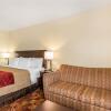 Отель Comfort Inn & Suites, фото 3