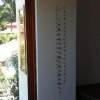 Отель Casa da Arvore Apartamentos Pousada, фото 9