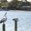 Отель Twin Quays Noosa, фото 9