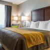 Отель Comfort Inn & Suites, фото 4