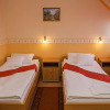 Отель Arany Patkó Pension, фото 20