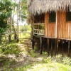 Отель Tariri Amazon Lodge, фото 4