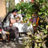 Отель The Lily Pad Inn, фото 16
